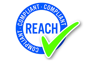 Reach Logo